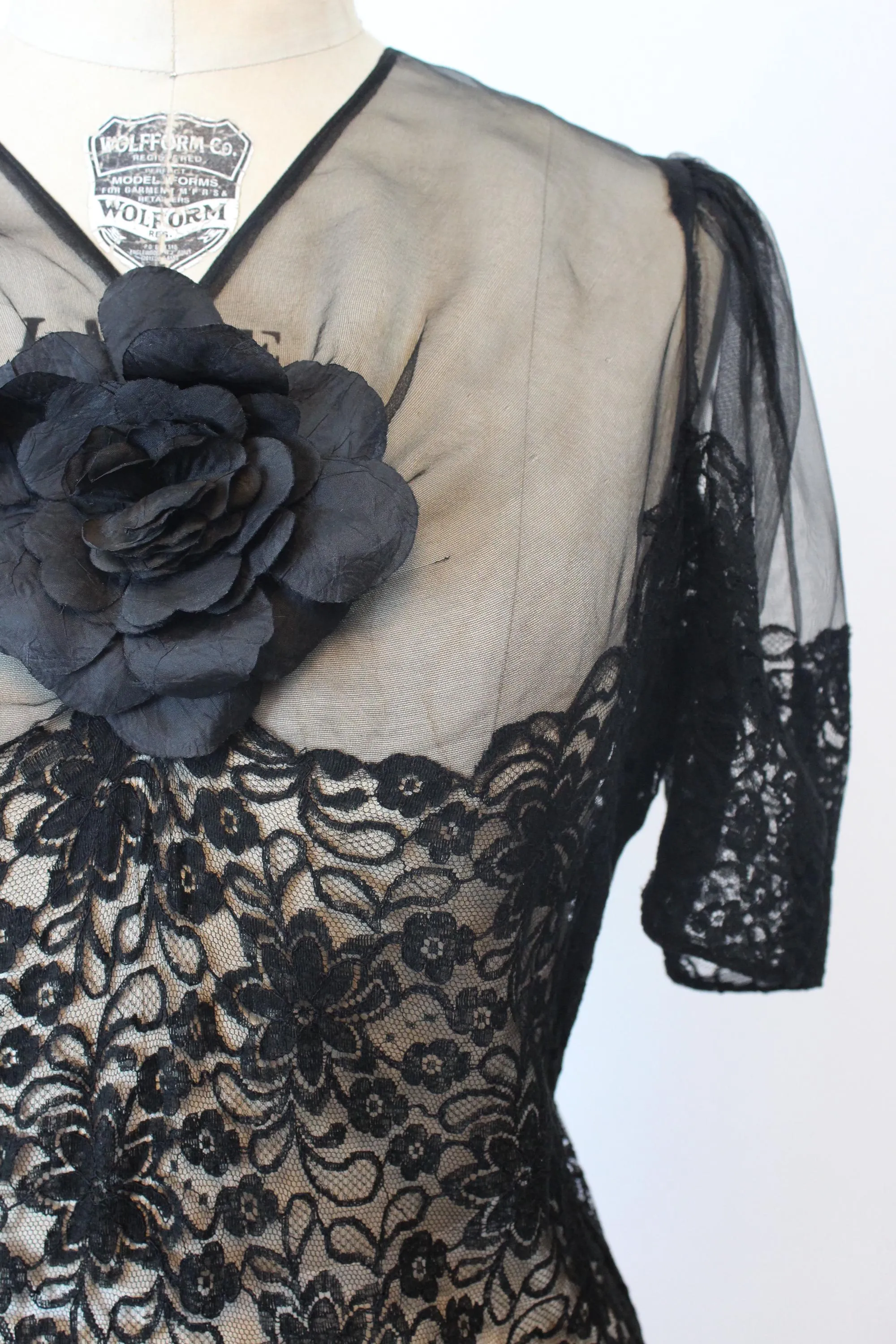 1930s 1940s SHEER lace ORGANZA gown dress large volup | new fall winter