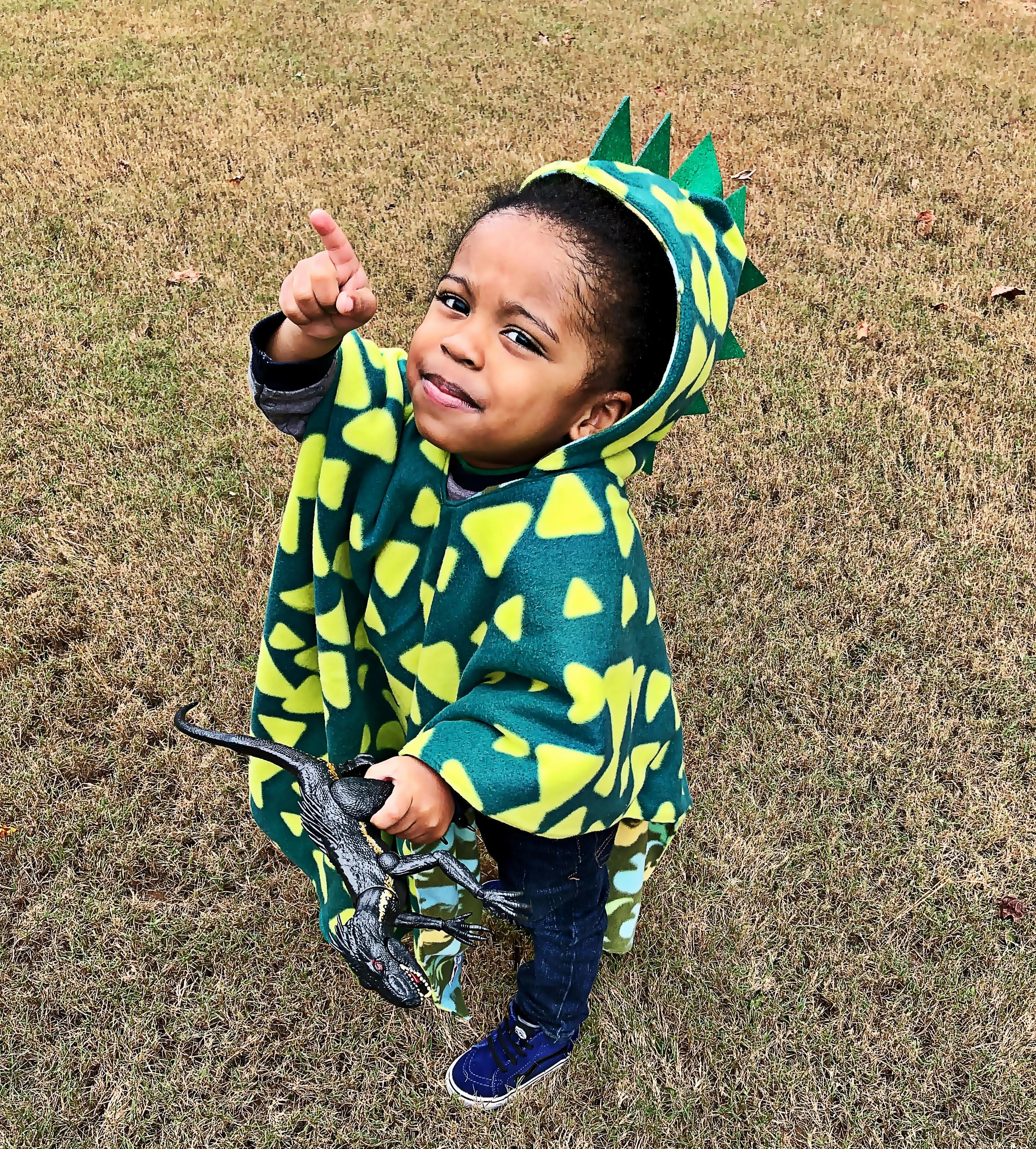 Car Seat Poncho - Halloween Costume - Dino Spikes
