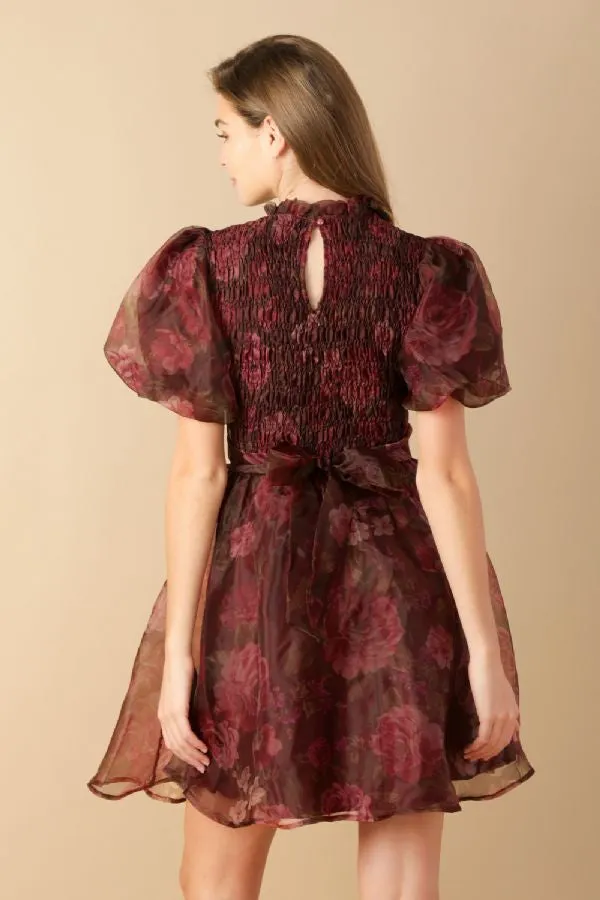 Fall Organza Mini Dress