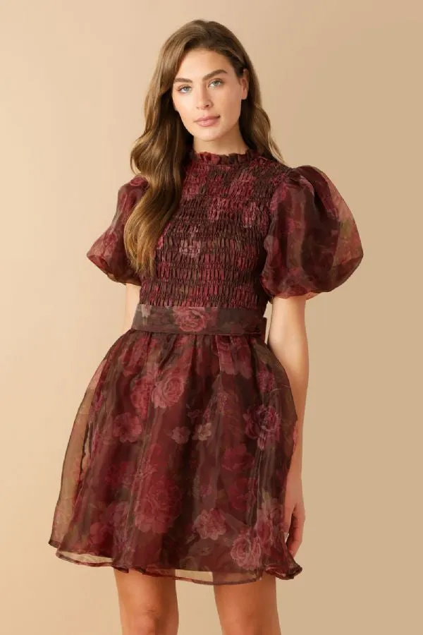Fall Organza Mini Dress