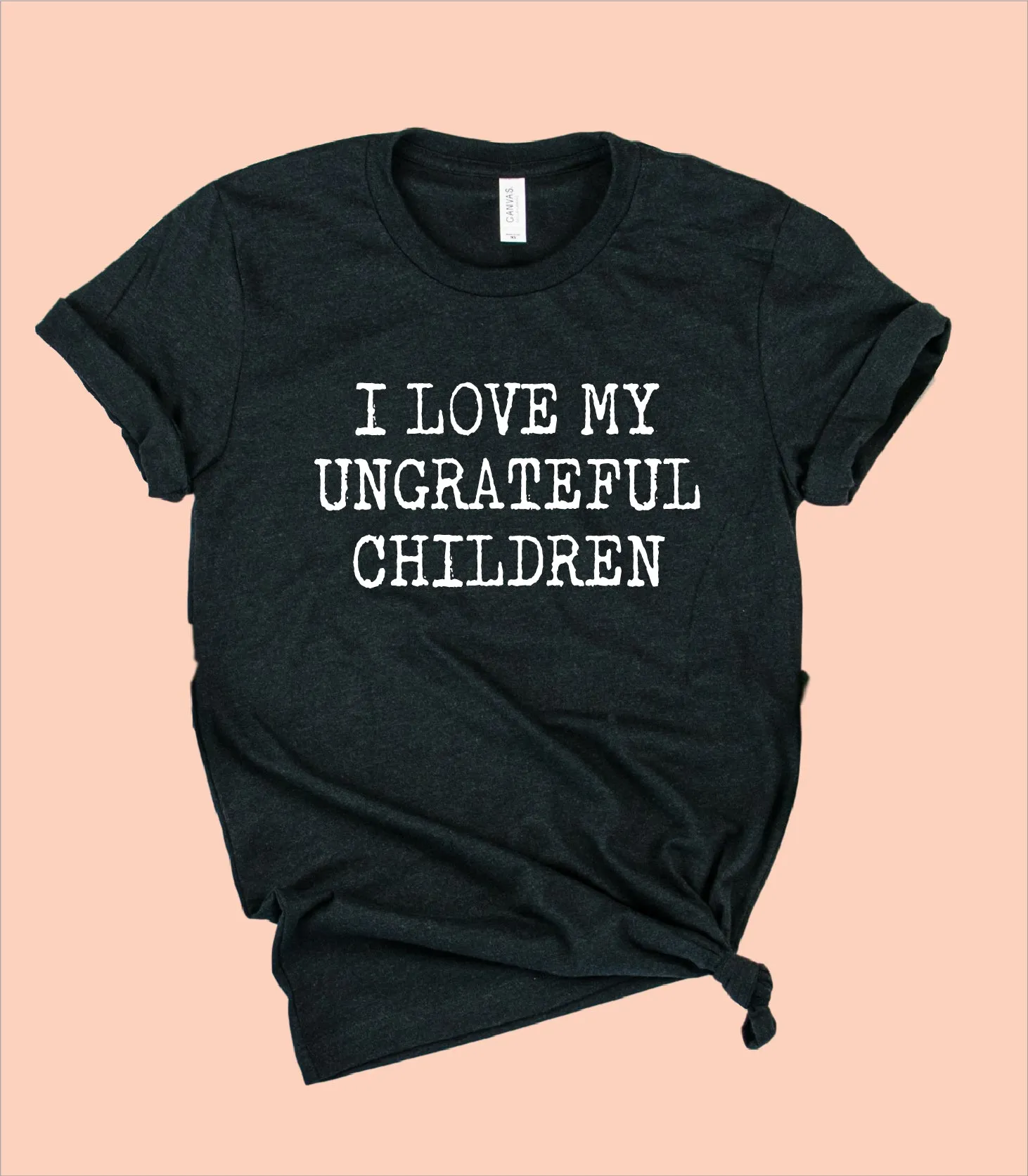 I Love My Ungrateful Children Shirt | Funny Shirt | Unisex Crew