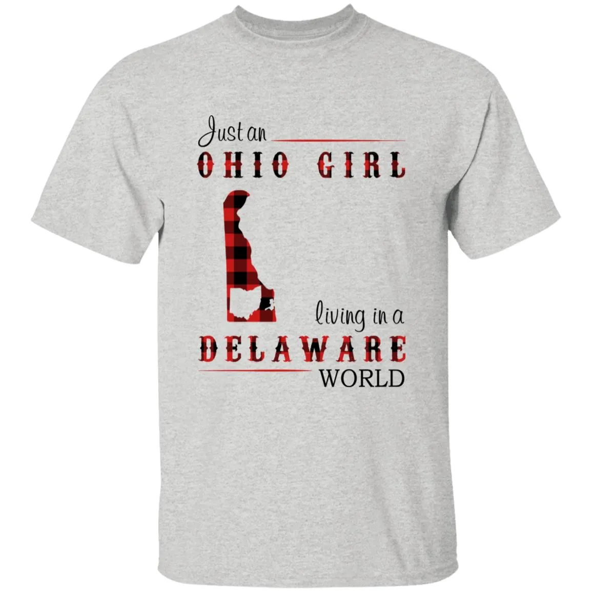 Just An Ohio Girl Living In A Delaware World T-shirt