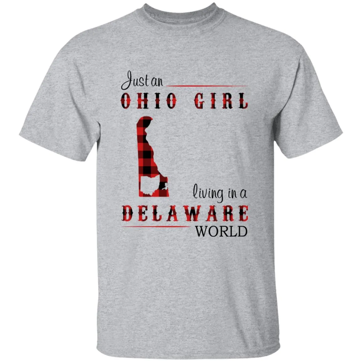 Just An Ohio Girl Living In A Delaware World T-shirt