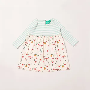 Little Green Radicals Toadstool Easy Peasy Dress Organic Cotton (0-6mths)