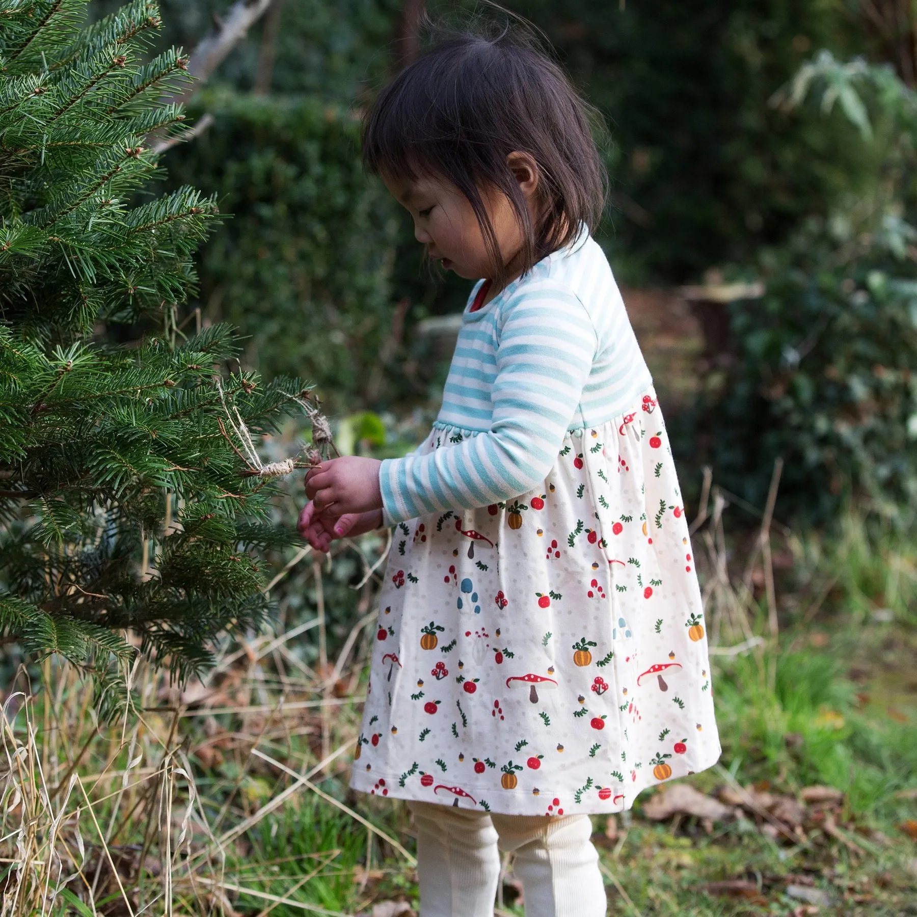 Little Green Radicals Toadstool Easy Peasy Dress Organic Cotton (0-6mths)