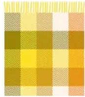 Multi Plaid Throw Blanket