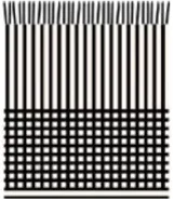 Pop Plaid Throw Blanket