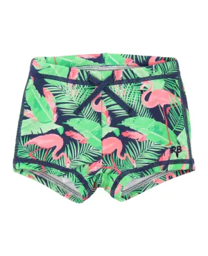 PREORDER | Baby Boys Flamingo Frenzy Swim Shorties