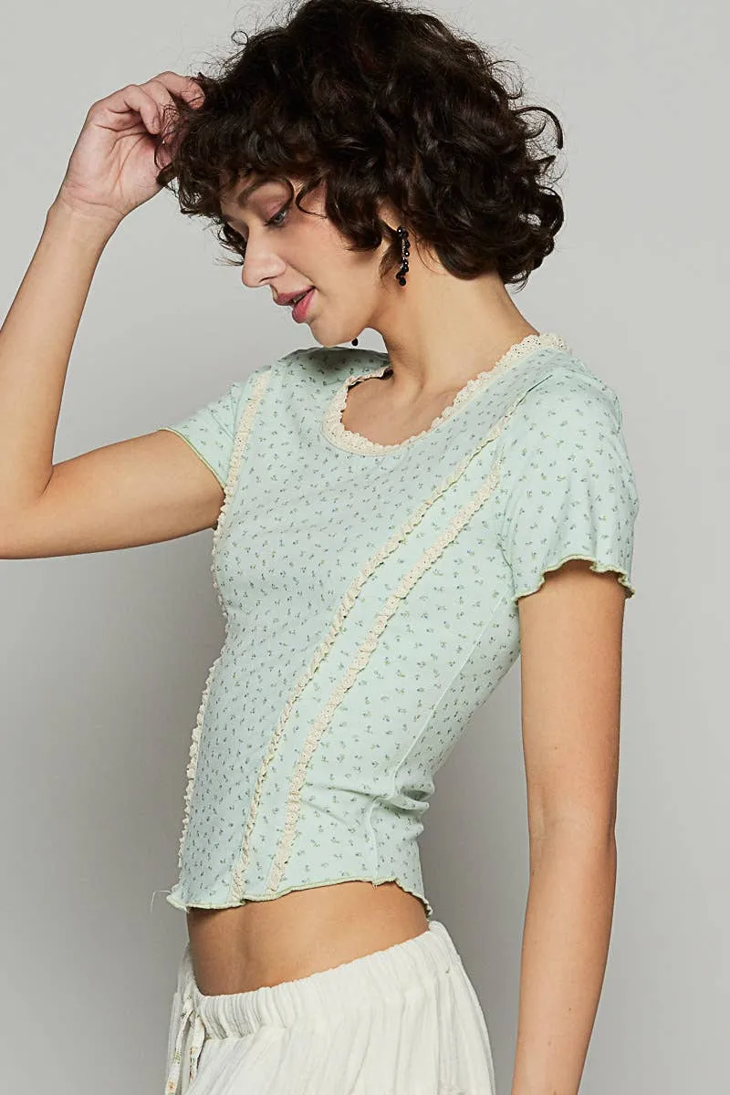 Round neck short sleeve cropped knit top