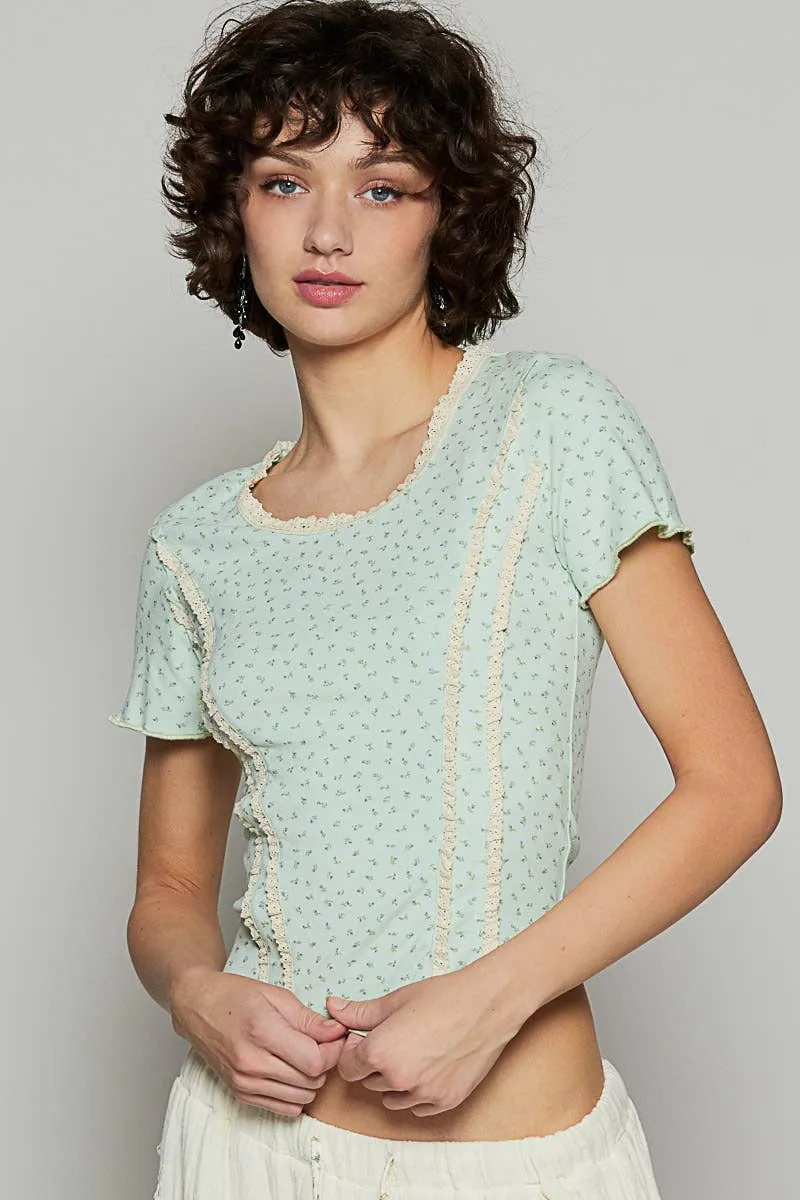 Round neck short sleeve cropped knit top