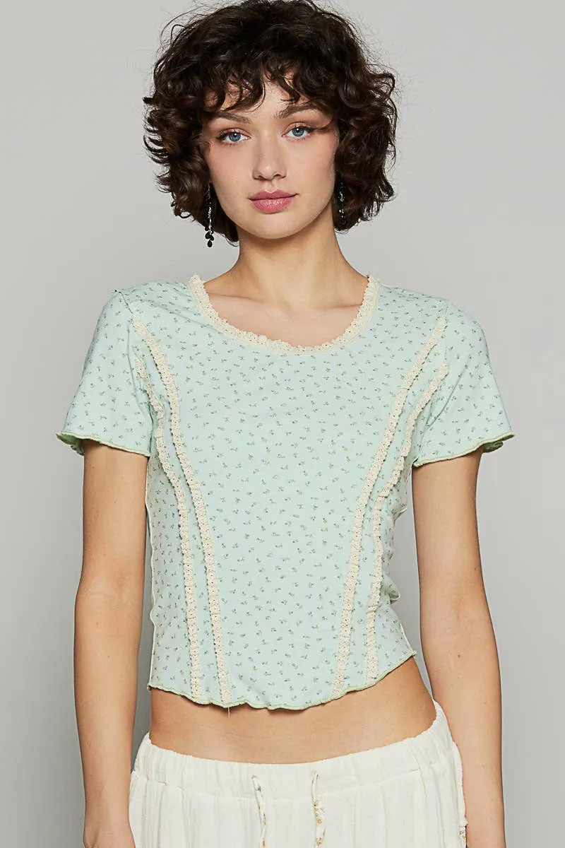 Round neck short sleeve cropped knit top