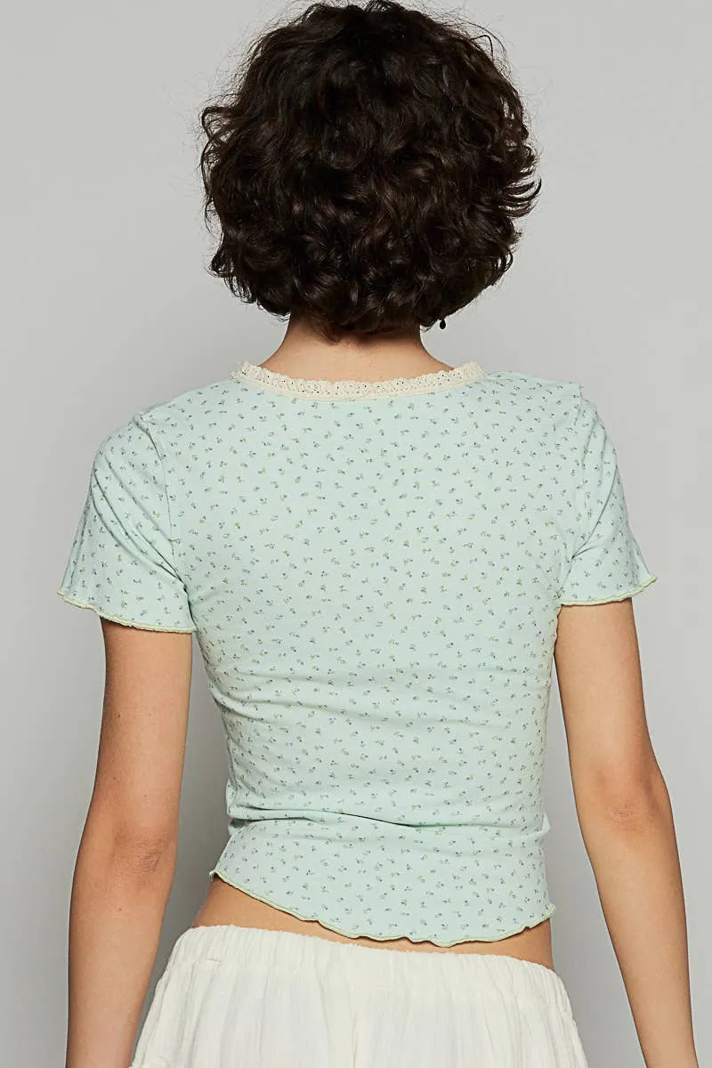 Round neck short sleeve cropped knit top