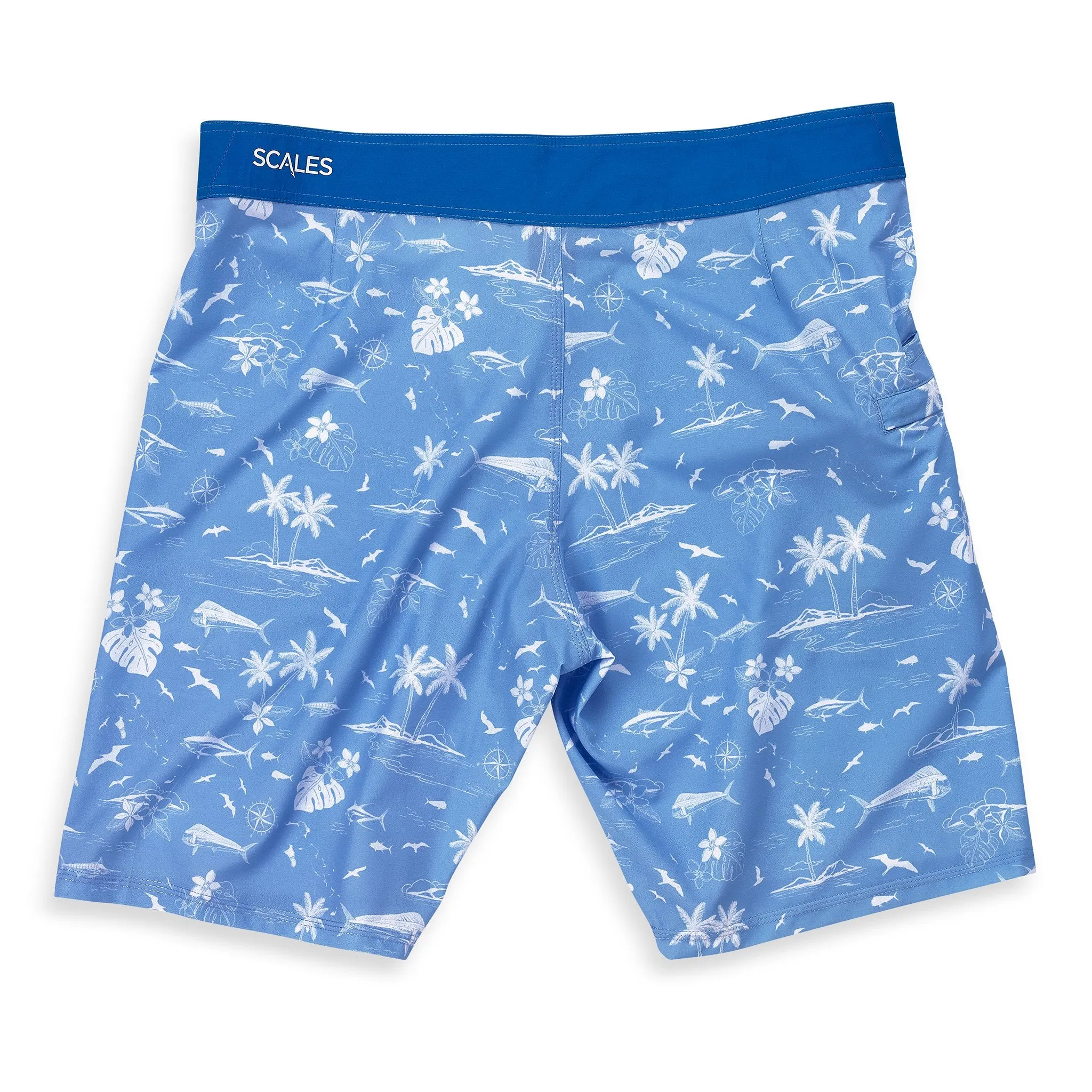 Scales Gear Never A Tourist Boardshorts