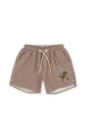 Seer Asnou Swimshorts || Tigers Eye