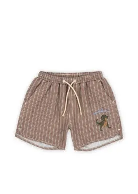 Seer Asnou Swimshorts || Tigers Eye
