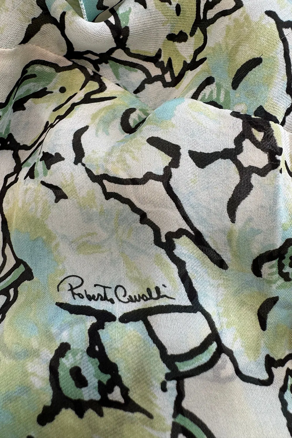 Spring 2006 Roberto Cavalli Runway Look 36 Silk Chiffon Floral Print Dress w Daring Plunges