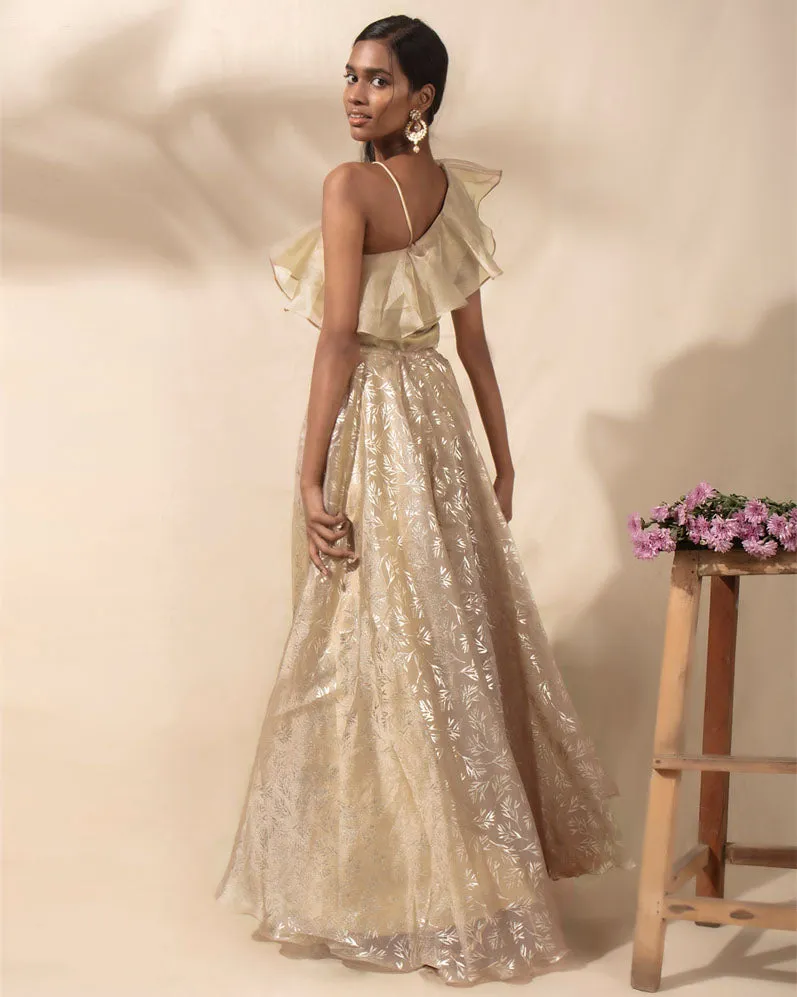 Starlight Dust Lehenga Set
