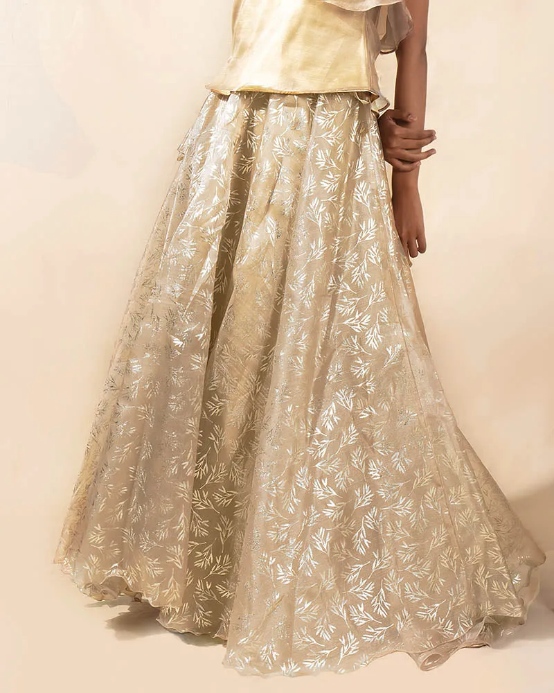 Starlight Dust Lehenga Set