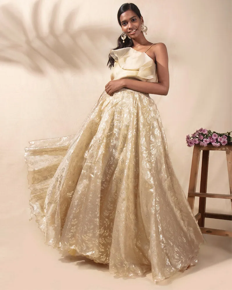 Starlight Dust Lehenga Set