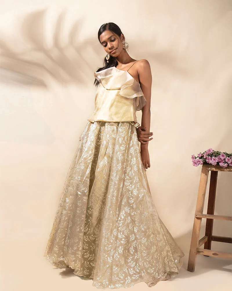 Starlight Dust Lehenga Set