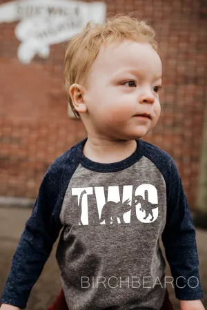 Two Dinosaur Shirt - Tri-Blend Dinosaur Birthday T Shirt - Custom Saurus-  Dino Birthday - Birthday Shirt - T Rex Birthday Custom Dino - Shirt