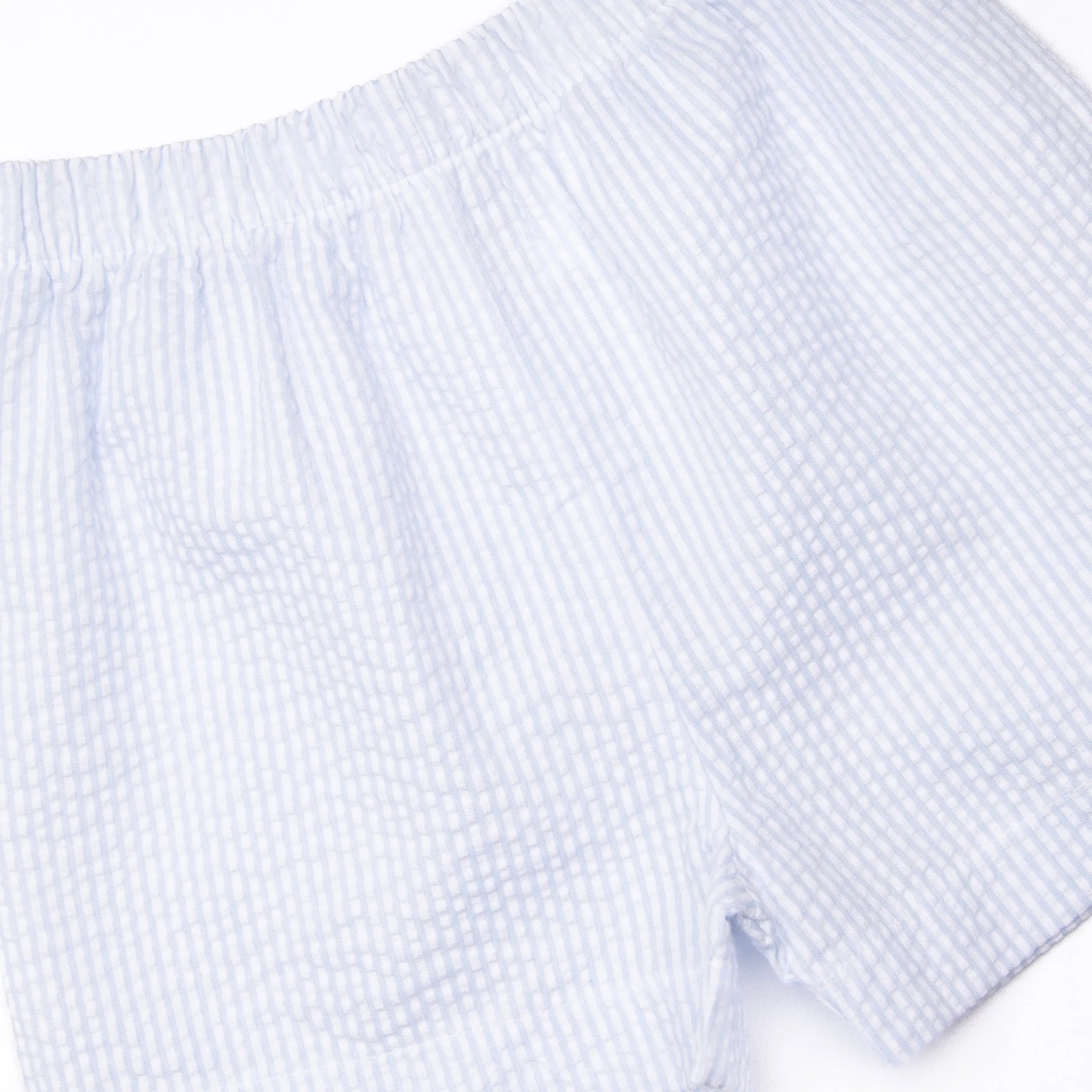Walk and Wag Smocked Short Set, Blue