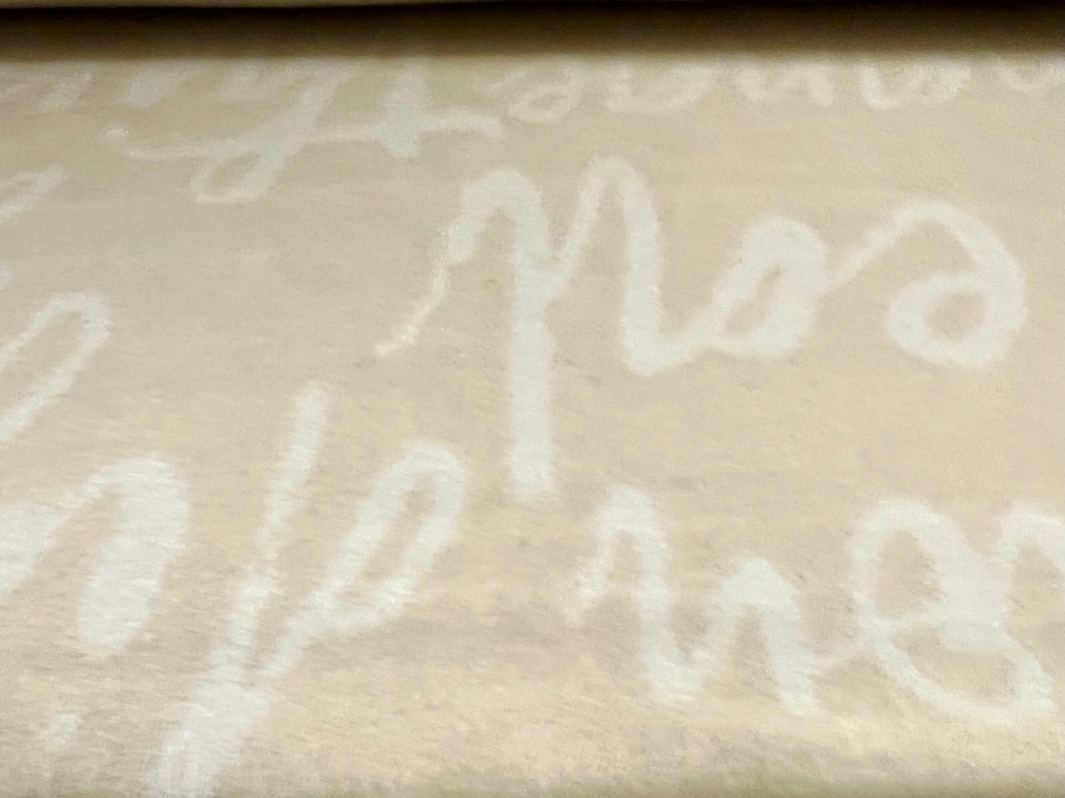 Wool mouflon flannel fabric, per metre - artistic diversity words jacquard - beige